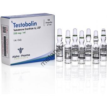 Тестостерон энантат (Testobolin) Alpha Pharma 10 ампул по 1мл (1амп 250 мг) - Казахстан